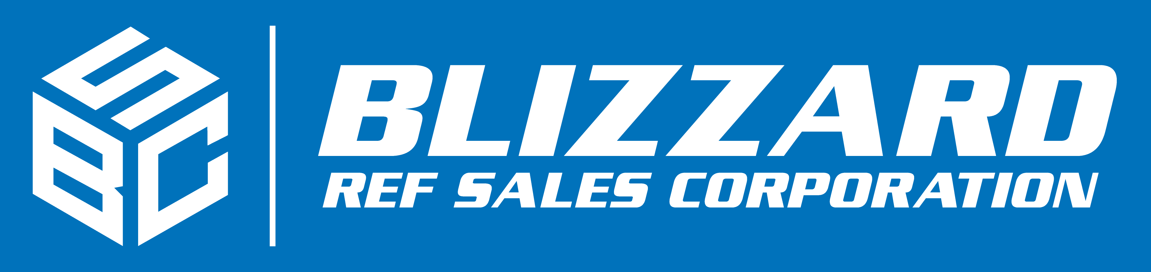 Blizzard Ref Sales Corporation Logo